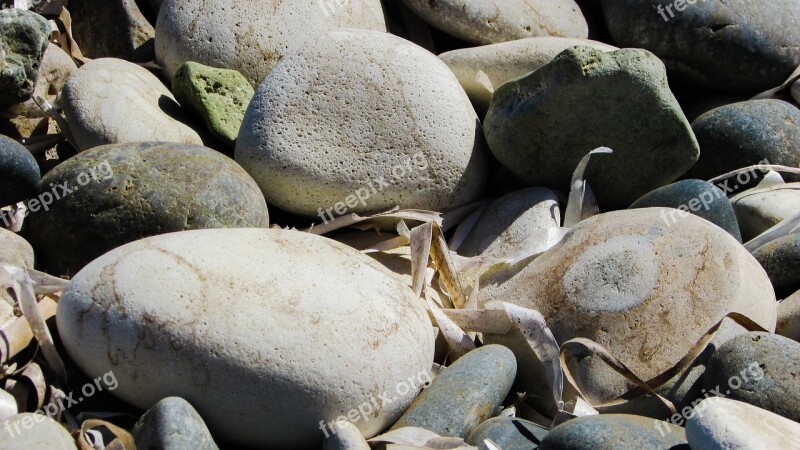 Pebble Beach Beach Stones Seaweed Nature