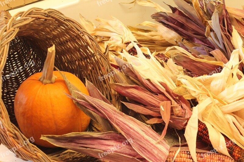 Autumn Indian Corn Corn Indian Fall