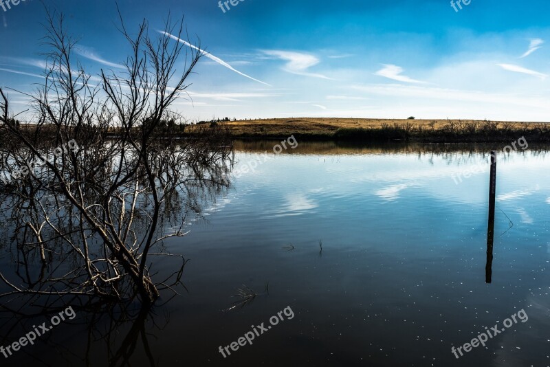 Laguna Lake Fishing Park Nature