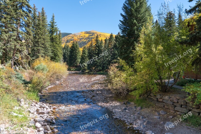 Vail Colorado Forest Stream Rocks