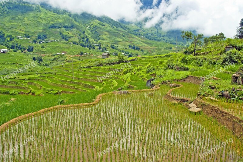 Vietnam Sapa Travel East Asia