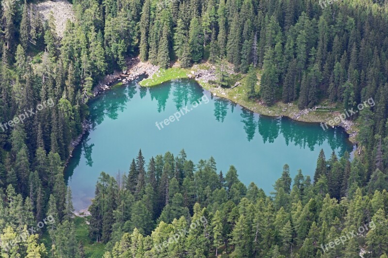 Lake Bergsee Forest Alpine Nature