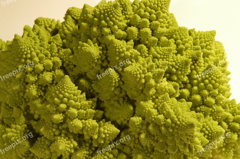 Romanesco Broccoli Green Roman Cabbage Vegetables Cauliflower