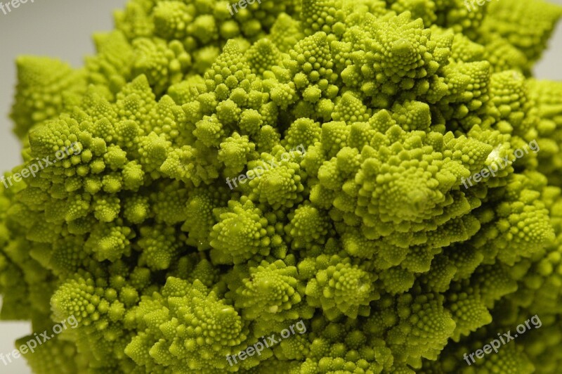 Romanesco Broccoli Green Roman Cabbage Vegetables Cauliflower