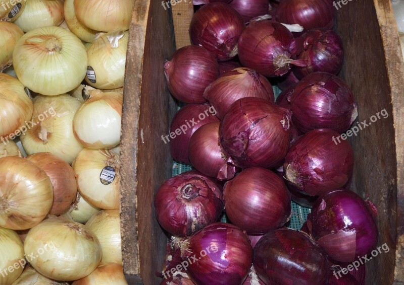 Onions For Sale Herb Food Market