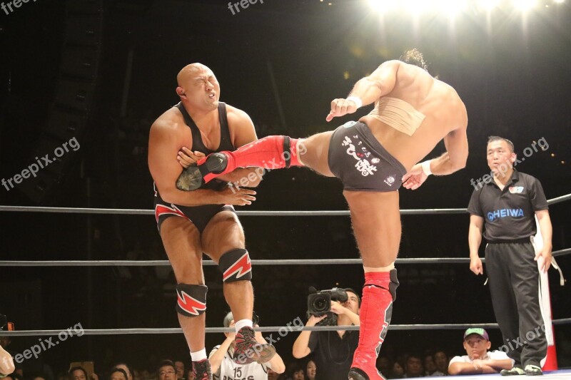 Ring Fight Pro Wrestling Wrestling Tokyo