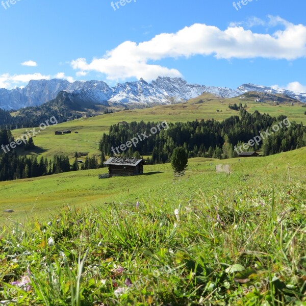 Seiser Alm South Tyrol Dolomites Free Photos