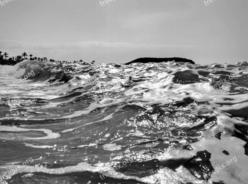 Wave Sea Ocean Water Ocean Wave