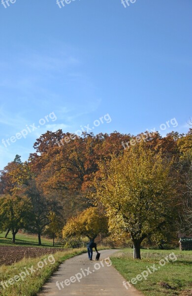 Autumn Walk Autumn Walk Away Landscape