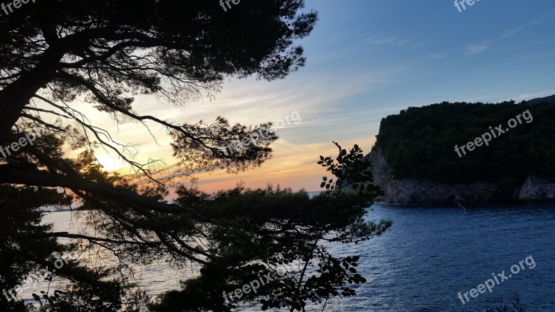 Landscape Montenegro Sea Evening Tree