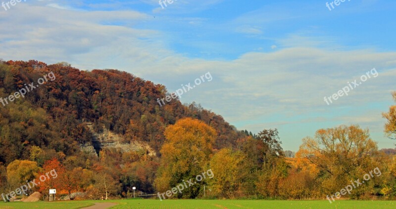 Autumn Leaves Forest Nature Autumn Forest