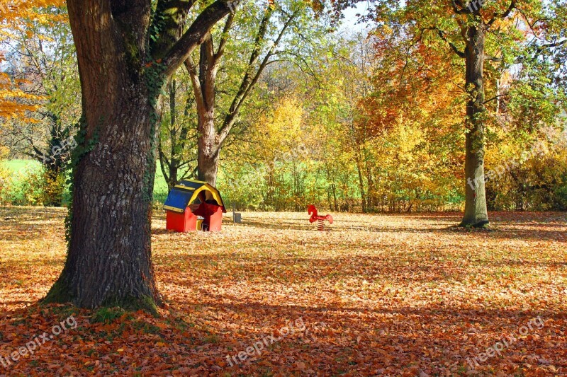 Autumn Leaves Forest Nature Autumn Forest