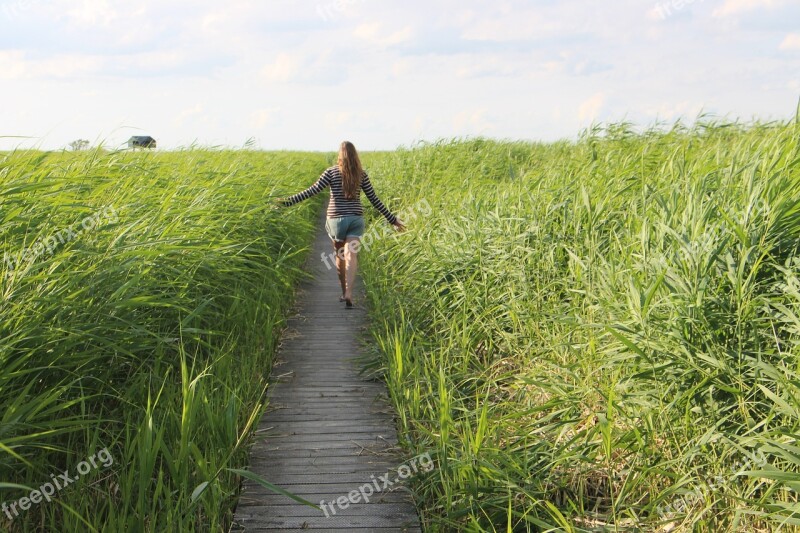 Woman Grass Away Nature Landscape