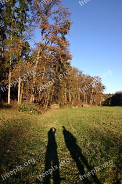 Walk Autumn Shadow Forest Nature