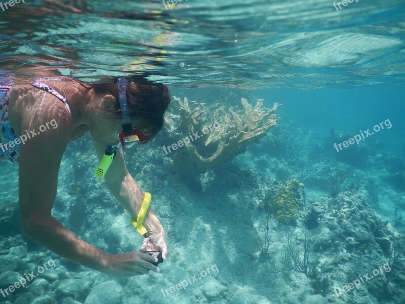 Snorkel Coral Underwater Free Photos