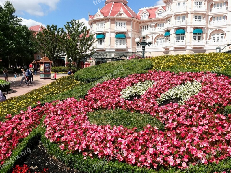 Paris France Disney View Flowers