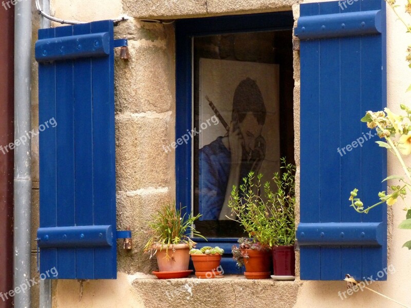 Window Mood Flowers Architecture Building