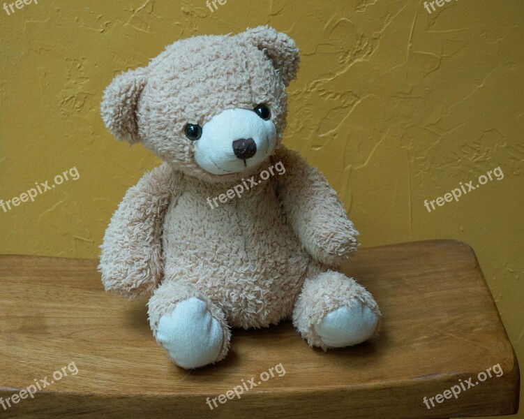 Old Teddy Bear Teddy Bear Toy Stuffed Animal Cute