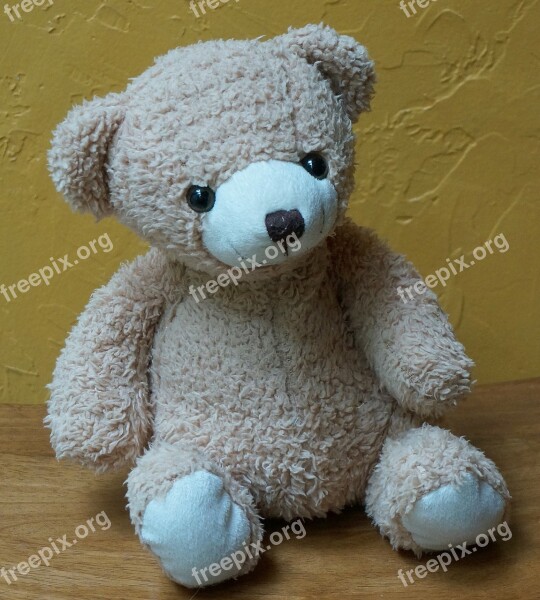 Old Teddy Bear Teddy Bear Toy Stuffed Animal Cute