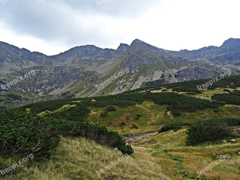 Landscape Mountains Nature Tatry Top View