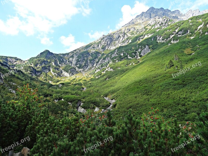 Landscape Mountains Nature Tatry Top View