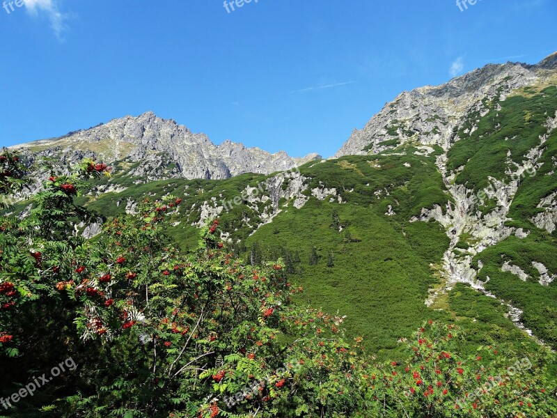 Landscape Mountains Nature Tatry Top View