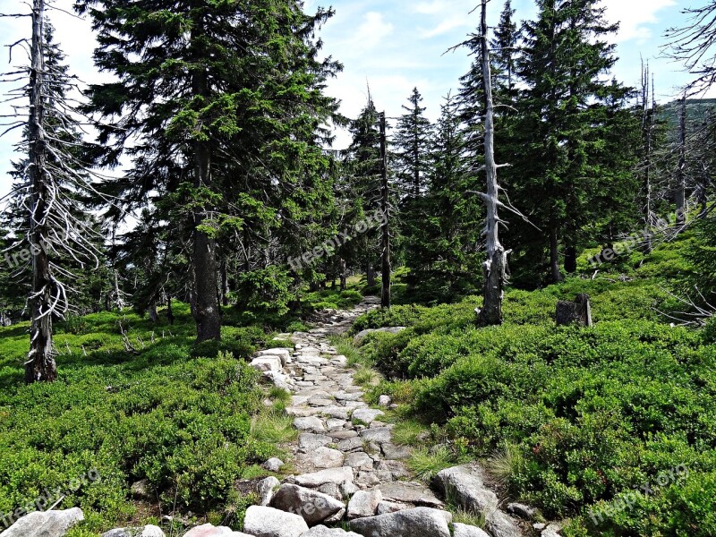 Landscape Mountains Nature Tatry Top View