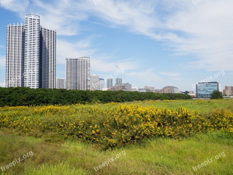 Real Estate Land Development Of Vacant Lot Building