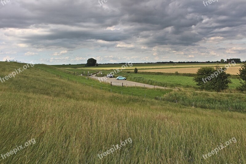 Field Grasses Nature Fields Sky