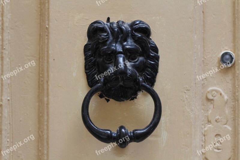 Door Knocker Lion Head Free Photos