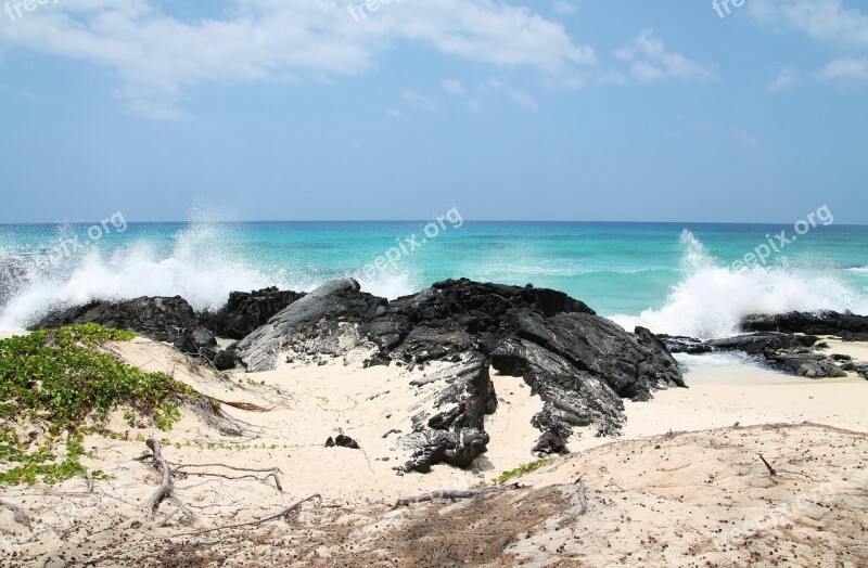 Beach Roche Ocean Sea Blue