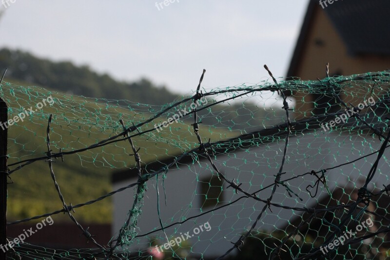 Barbed Wire Fence Wire Demarcation Risk