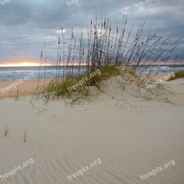 Beach Scene Sunset Dunes Sea Oats Grass