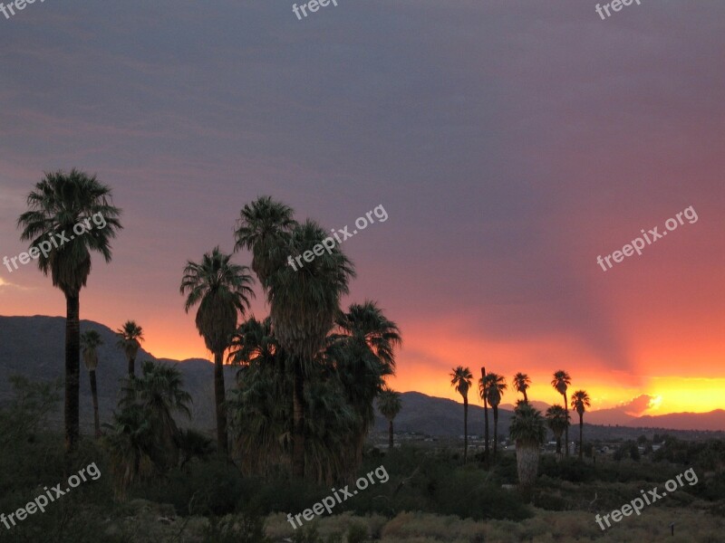 Sunset Landscape Trees Sky Clouds