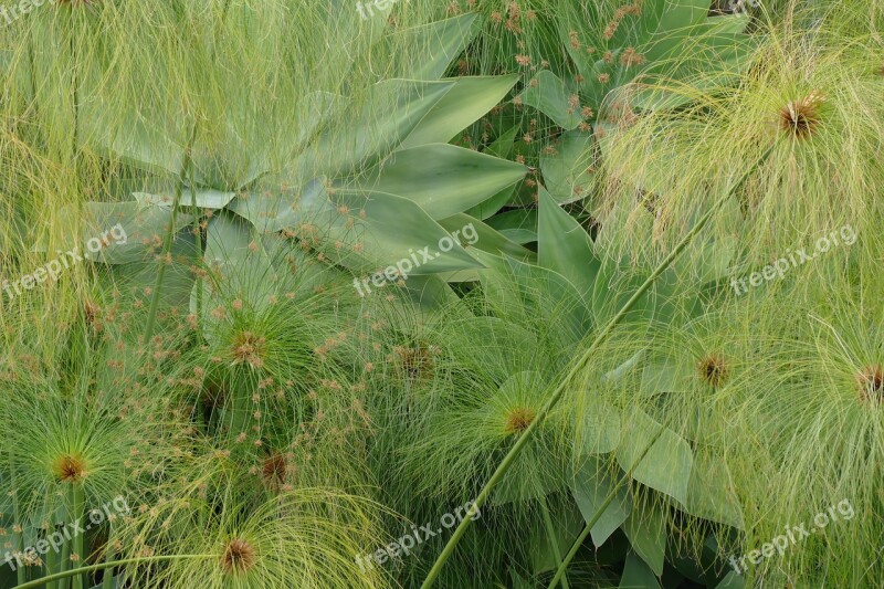 Wall Turfed Planted Plant Slightly