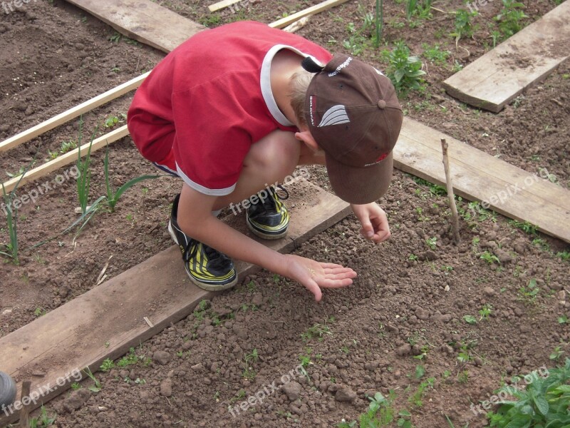 School Garden Sow Students Free Photos