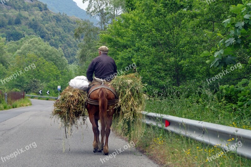 Orsomarso Mule Farmer Panniers Hay