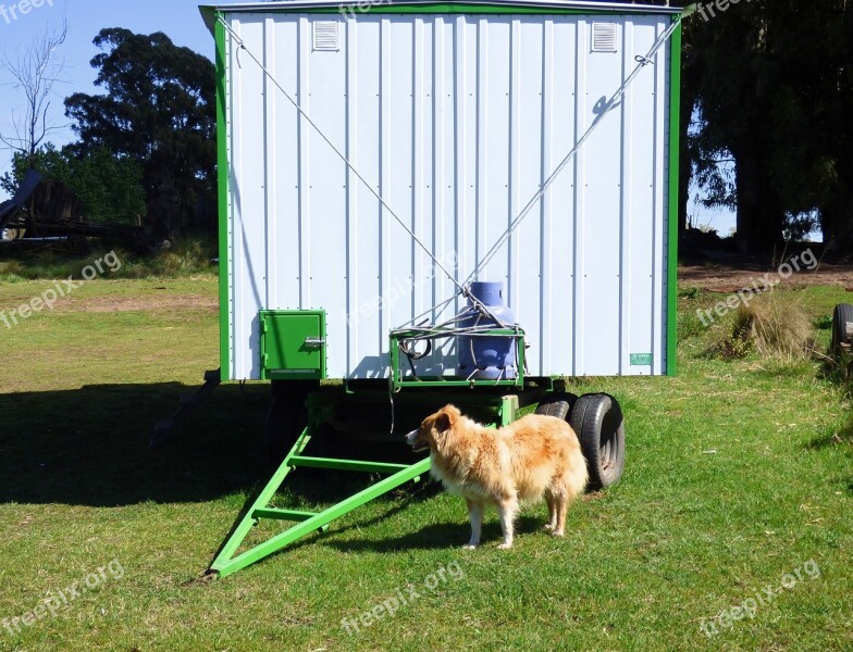 Box Rural Tool Guard Dog Free Photos