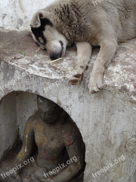 Dog Statue Buddha Homeless Animals