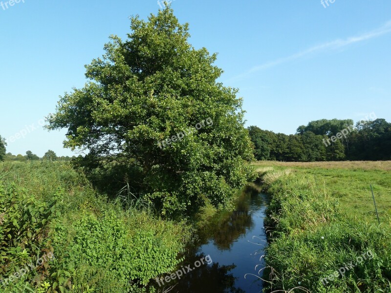 Bach Field Water Flow Nature