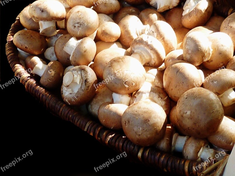 Mushrooms White Mushroom Nature Food Brown