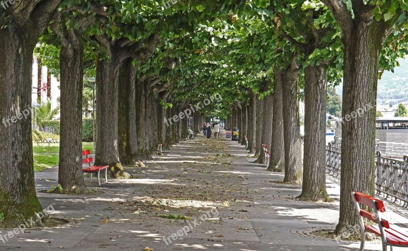 Lugano Ticino Switzerland Promenade Lake Lugano