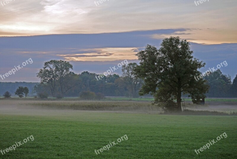 Ground Fog Fog Morning Autumn Nature