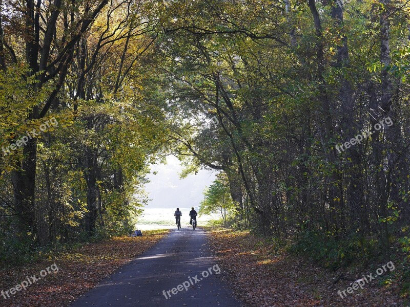 Bike Ride Autumn October Forest Field