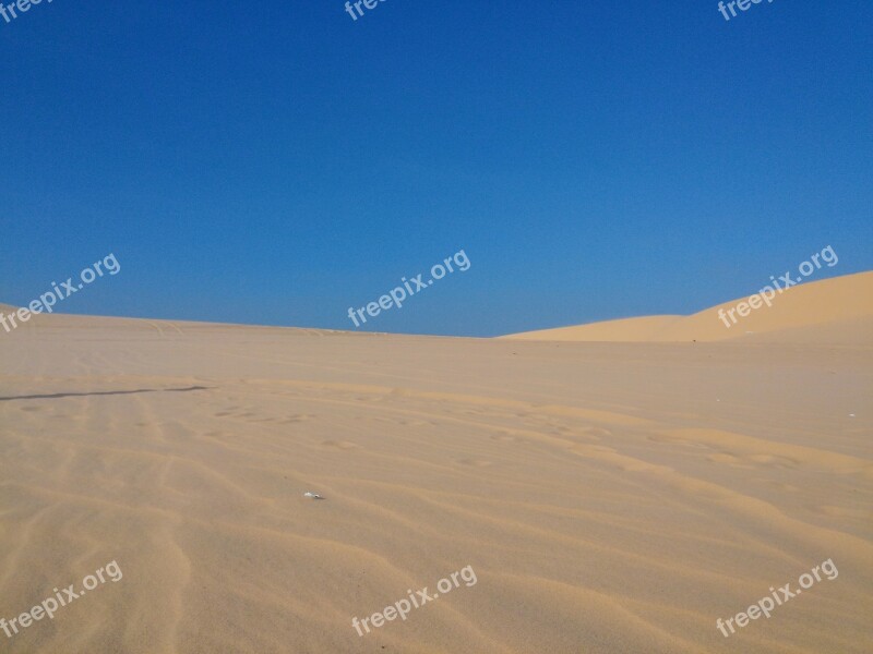 Desert Vietnam Mui Ne Camel Dirt