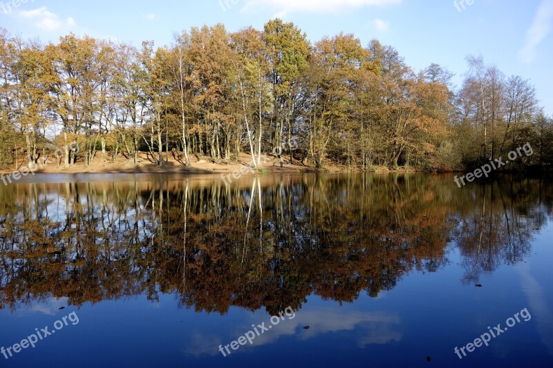 Pond Water Lake Mirroring Trees