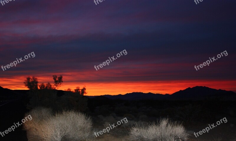 Sunset Landscape Mountains Plants Silhouettes