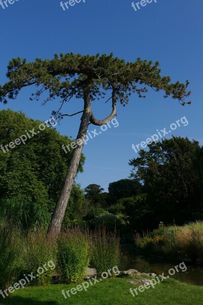 England Channel Islands United Kingdom Jersey Park