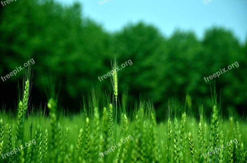 Farmland Agriculture Every Day Views Farm