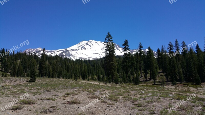 Mt Shasta Mountain Snow Landscape Forest